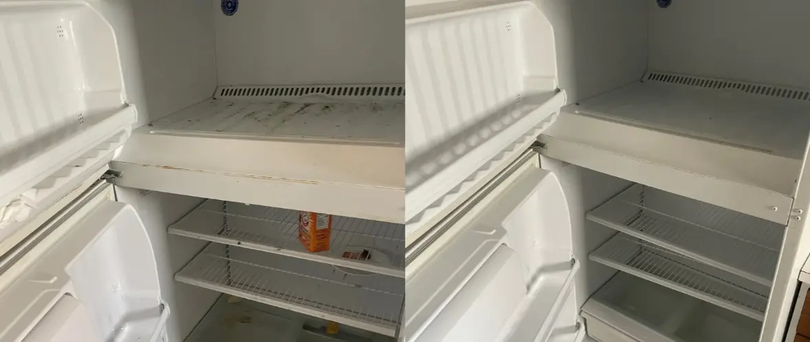 Appliance Cleaning & Refresh