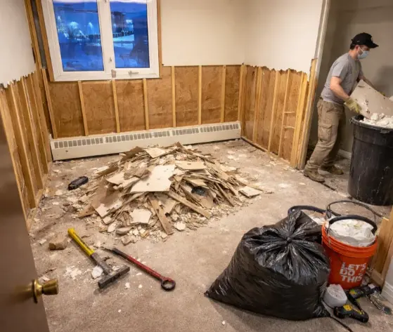 Demolition & Removal Services